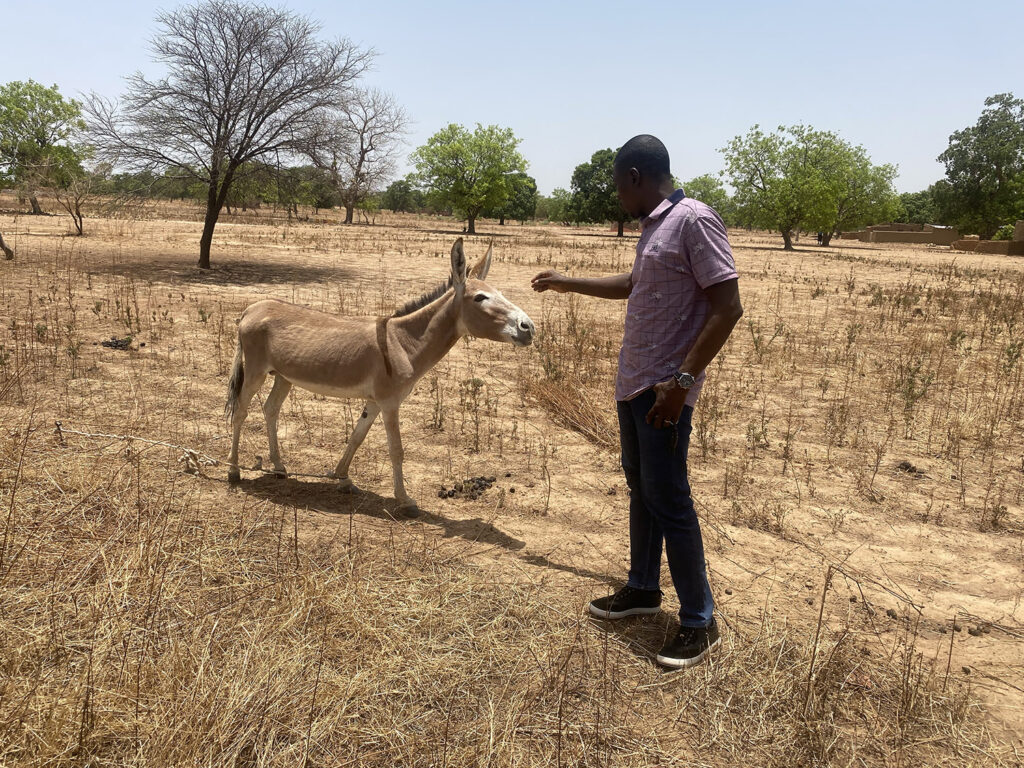 Résidence Ciné Guimbi 2023 : Une Exploration Captivante avec 'L'âne de fer'